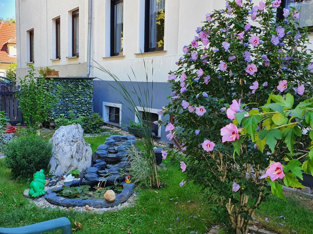 Ferienwohnung Mit Charme Neukieritzsch Buitenkant foto